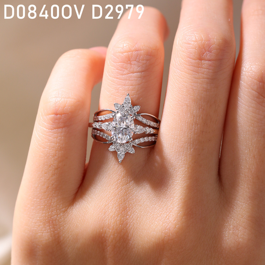 D2979-LD (2)