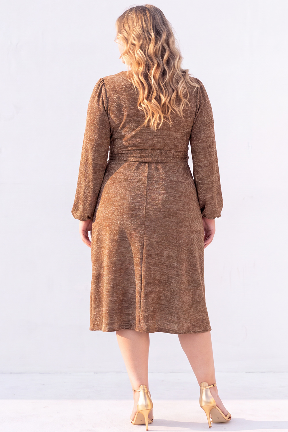 Brown Long Sleeve Midi Plus Size Dress with Sash