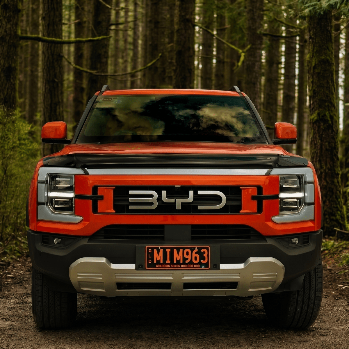 BYD SHARK 6 BONNET PROTECTOR-Let us help you explore your 4x4 with us Noxfun