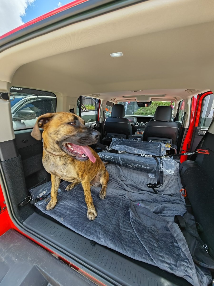 TANK 300 DOG CENTRE HARNESS-Let us help you explore your 4x4 with us Noxfun