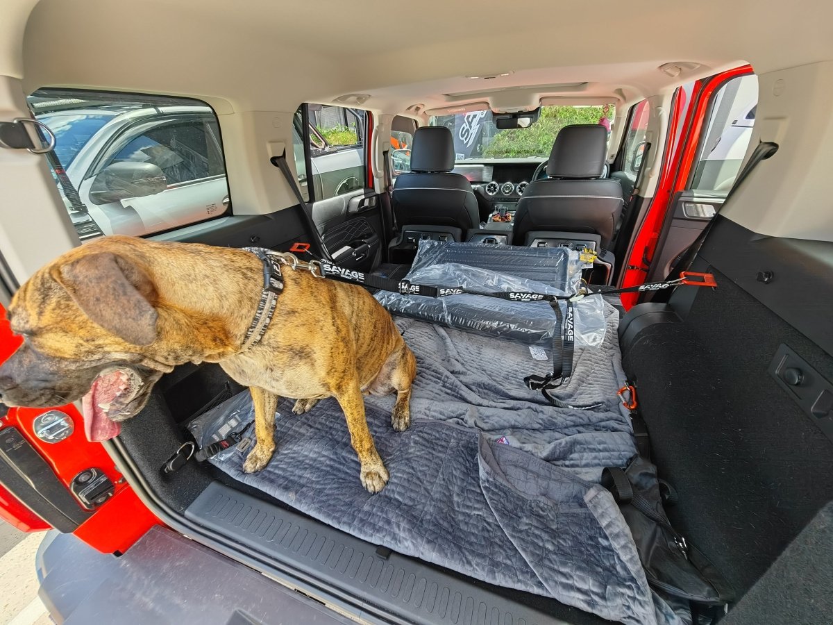 TANK 300 DOG CENTRE HARNESS-Let us help you explore your 4x4 with us Noxfun