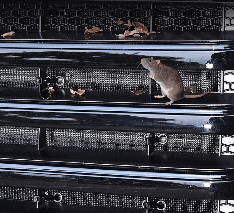 TANK 300 INSECT GRILLE MESH-Let us help you explore your 4x4 with us Noxfun