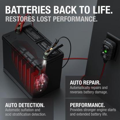 Cargador inteligente de baterías 1A, 6V y 12V, mantenedor de batería, carga lenta y desulfatador.