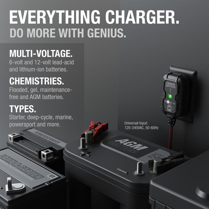 Cargador inteligente de baterías 1A, 6V y 12V, mantenedor de batería, carga lenta y desulfatador.