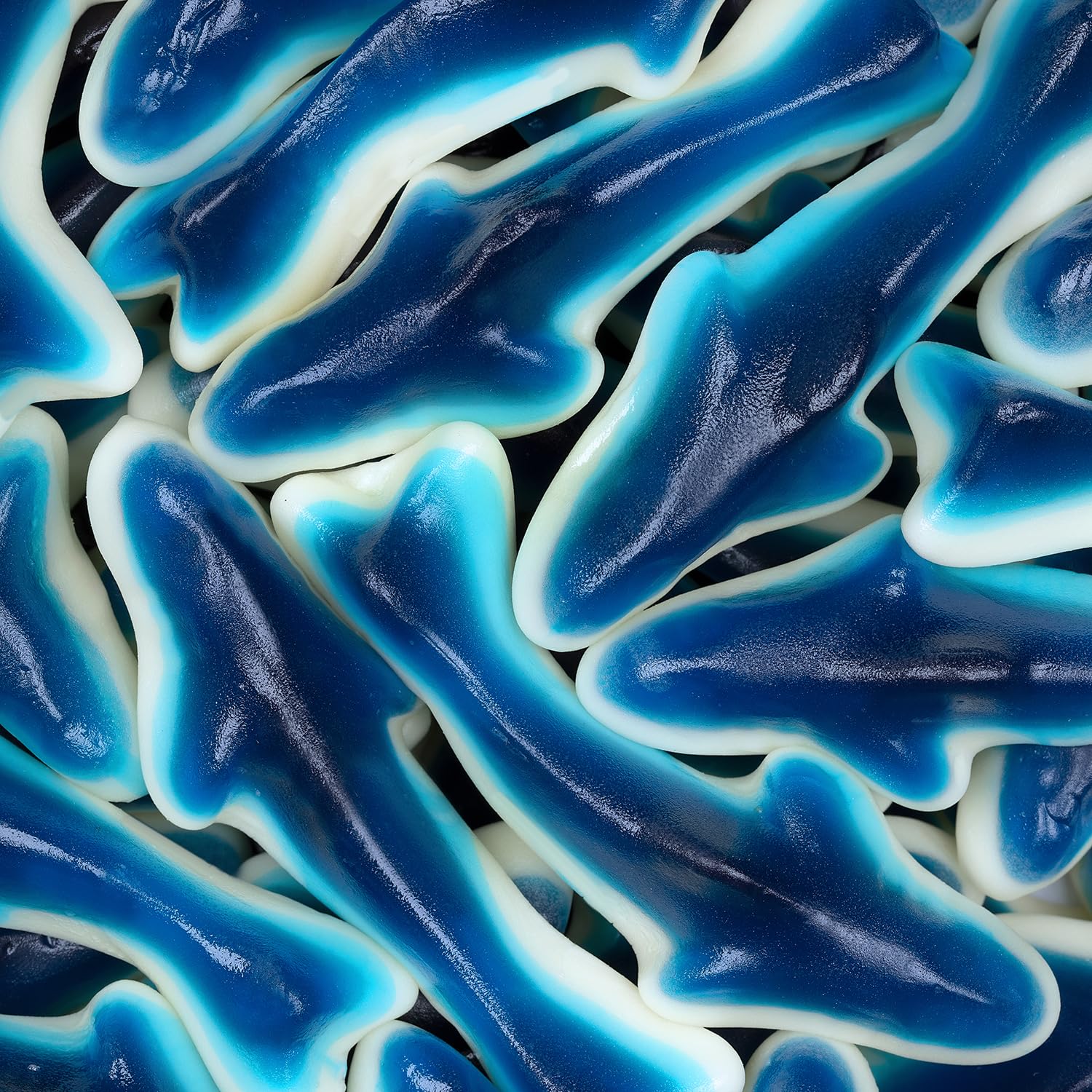 Blue Shark Gummy Candy