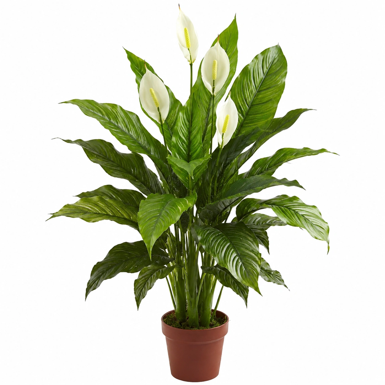 Plantas artificiales