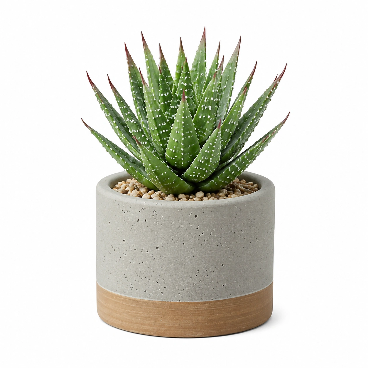 Plantas artificiales