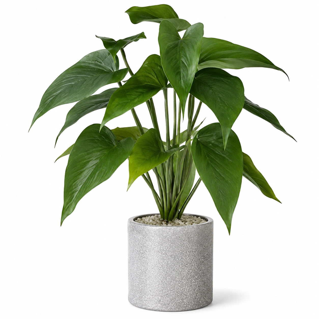 Plantas artificiales
