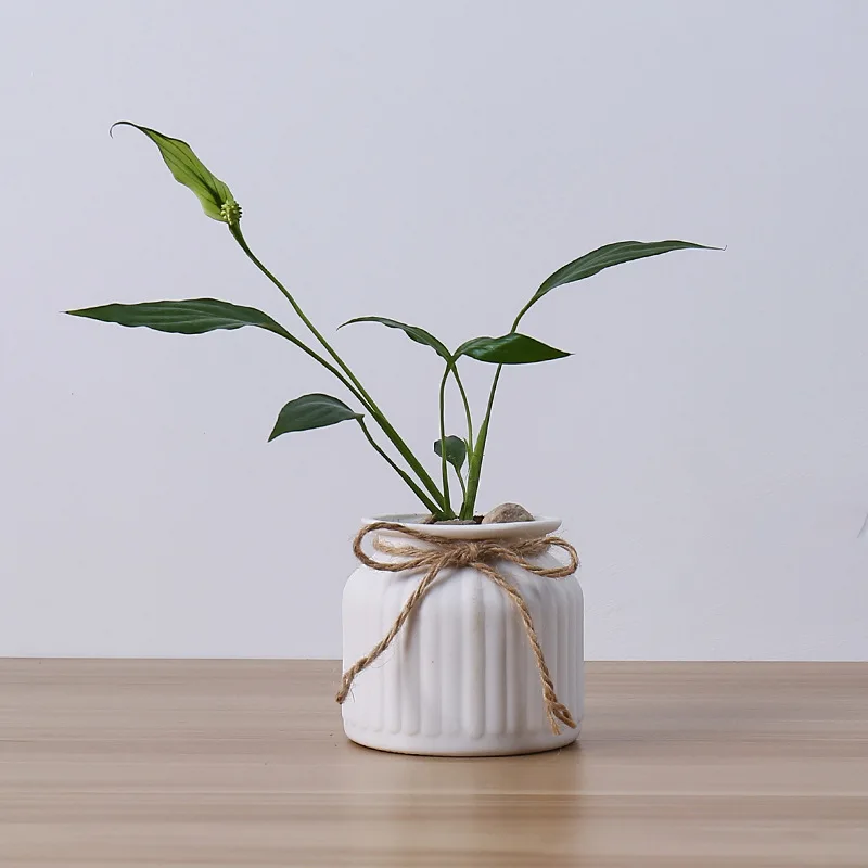 payoneer    Living Room White Porcelain Dried Flower Arrangement Starry Vase Decoration Ceramic Vase Flowerpot Simple Modern
