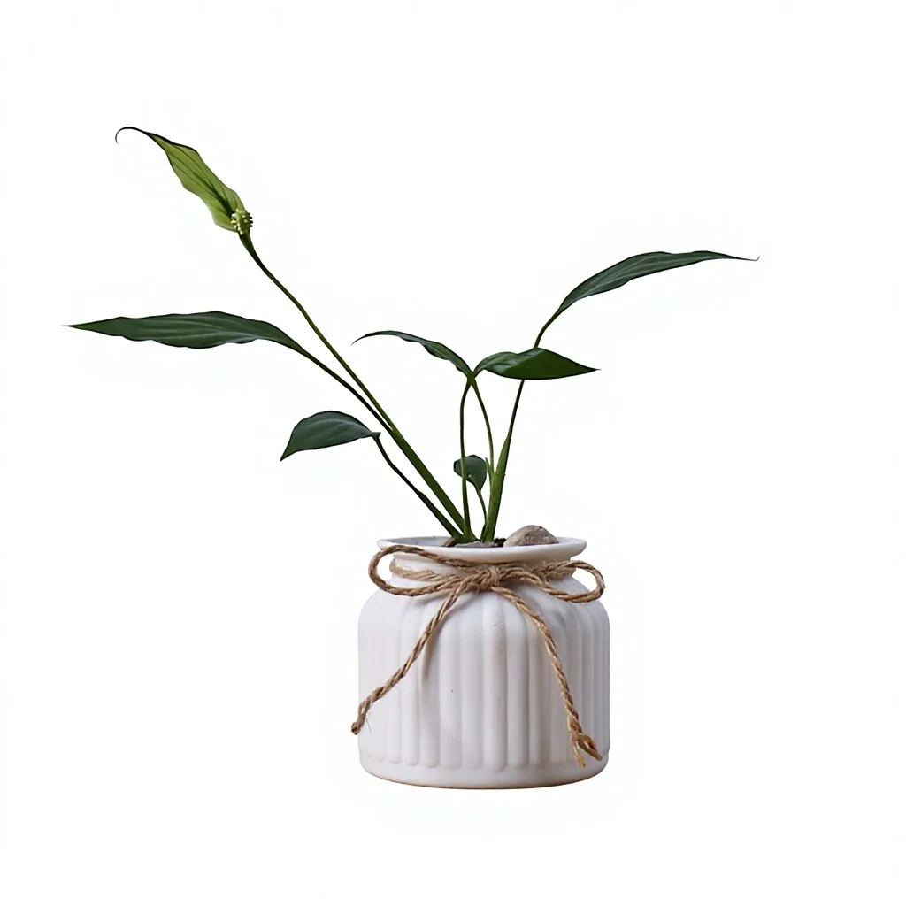 payoneer    Living Room White Porcelain Dried Flower Arrangement Starry Vase Decoration Ceramic Vase Flowerpot Simple Modern