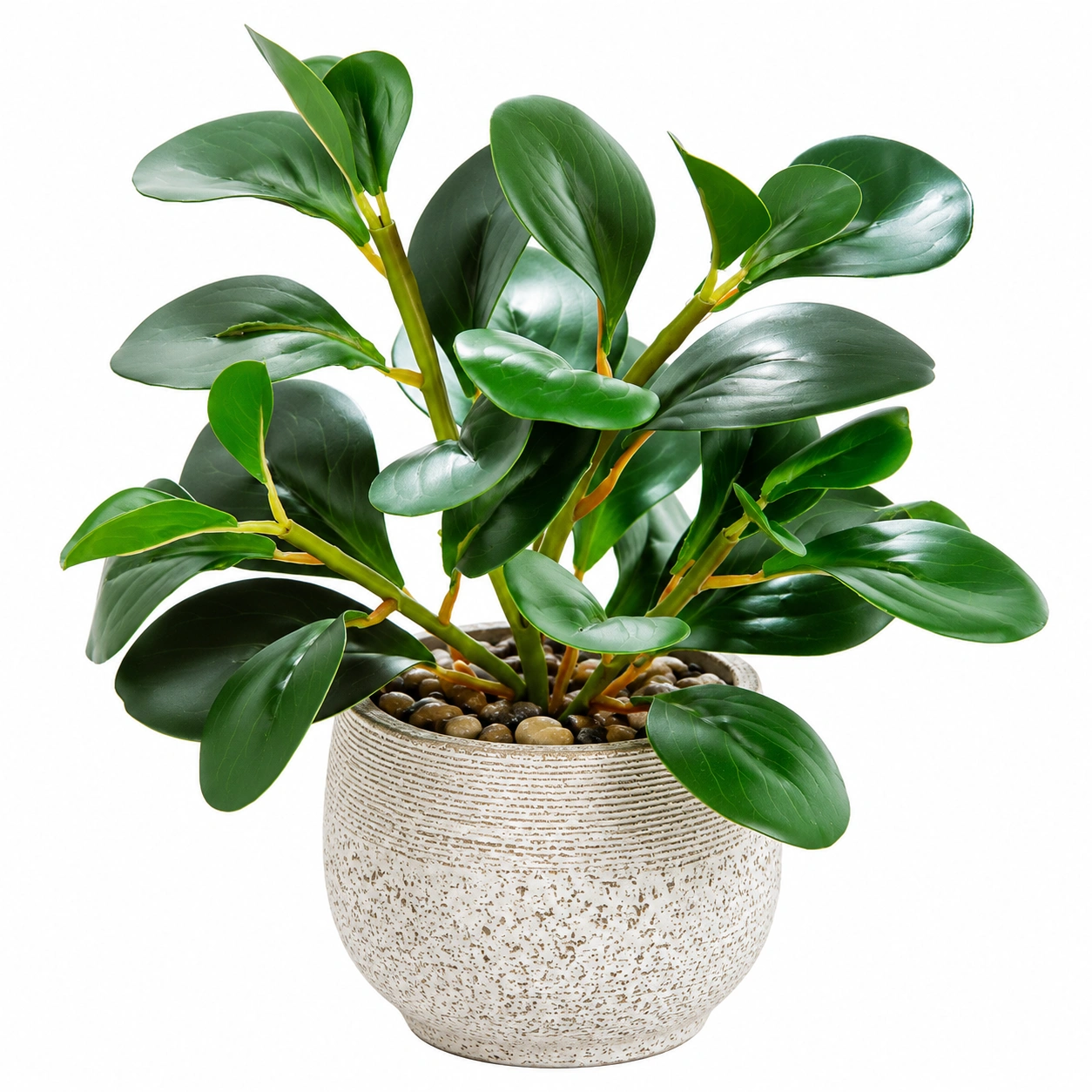 Plante artificielle en pot avec feuilles vert foncé-FURNIAMIRAE