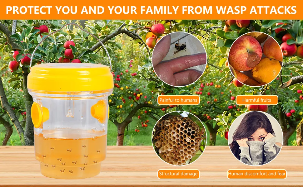 Wasp trap