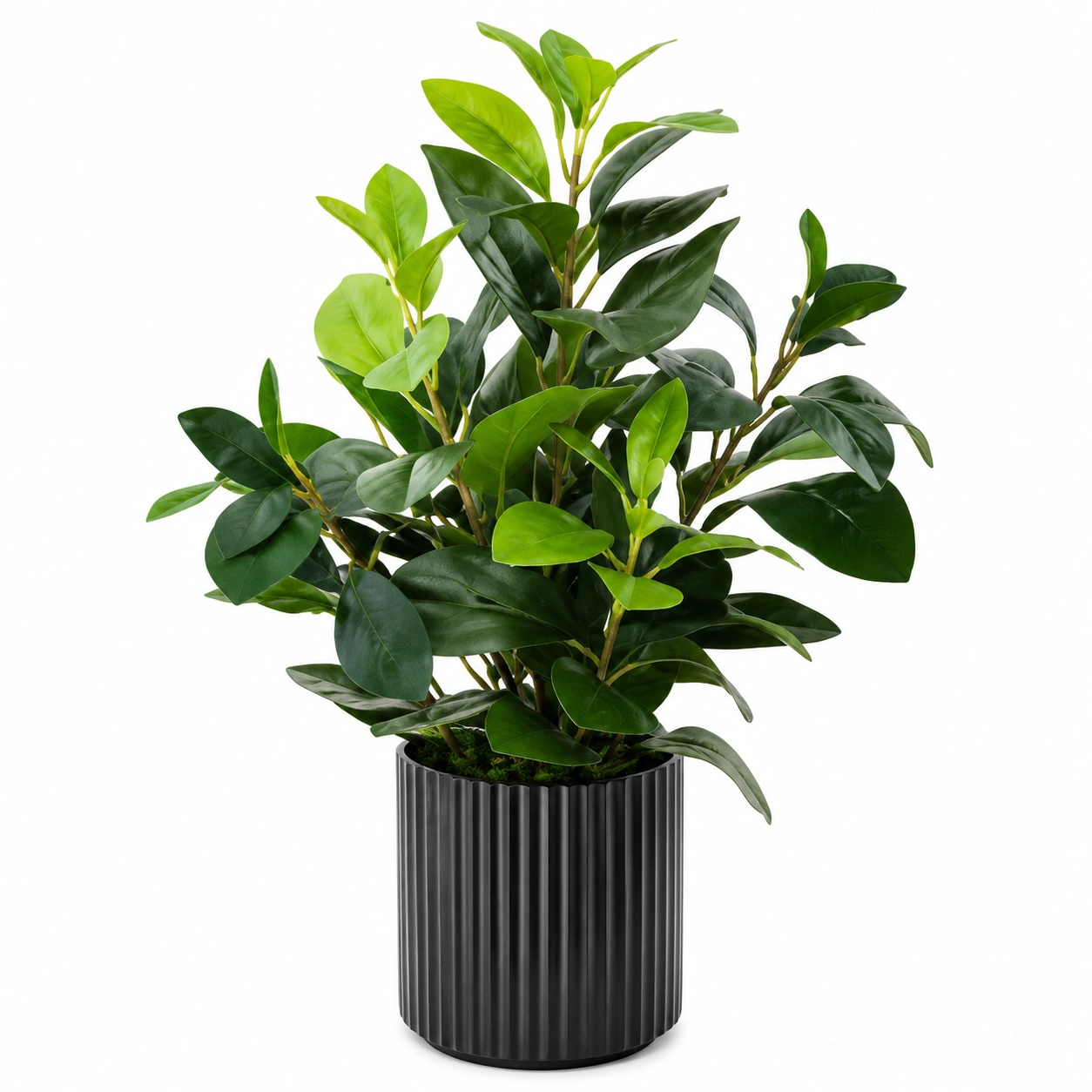 Plante d'Intérieur Artificielle 45 cm avec Cache-Pot Noir-HOMEELARO