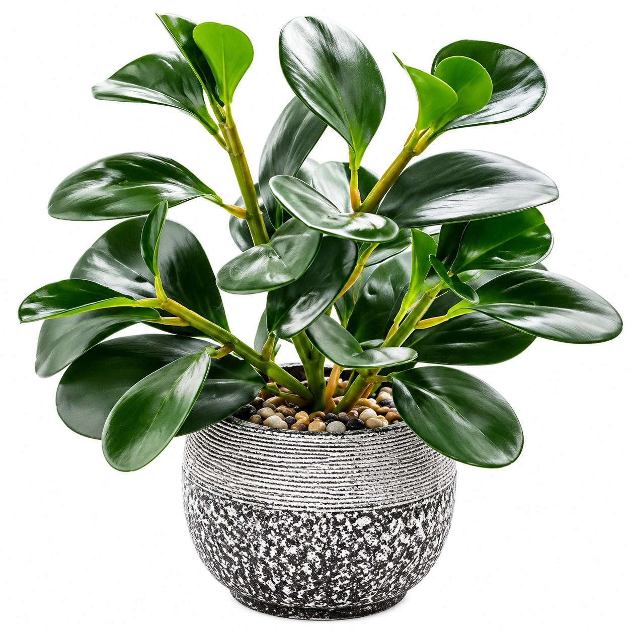 Plante Verte Artificielle avec Galets et Pot Texturé 40 cm-HOMEELARO