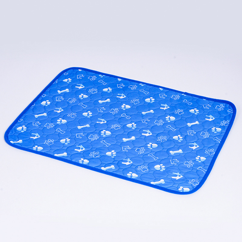 Tired of cleaning up accidents every day? Train Your Puppy Faster — No More Accidents