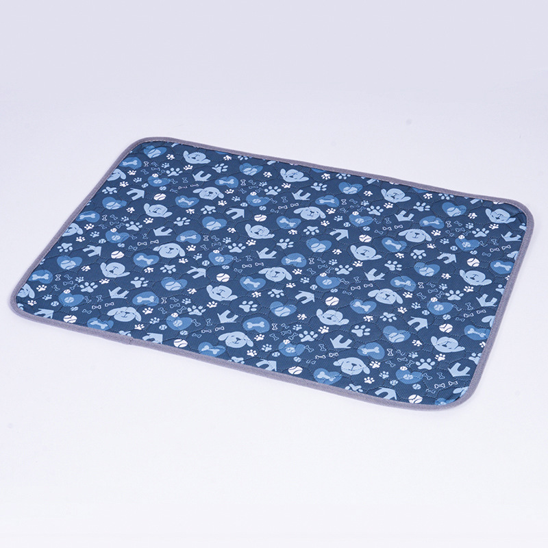 Tired of cleaning up accidents every day? Train Your Puppy Faster — No More Accidents