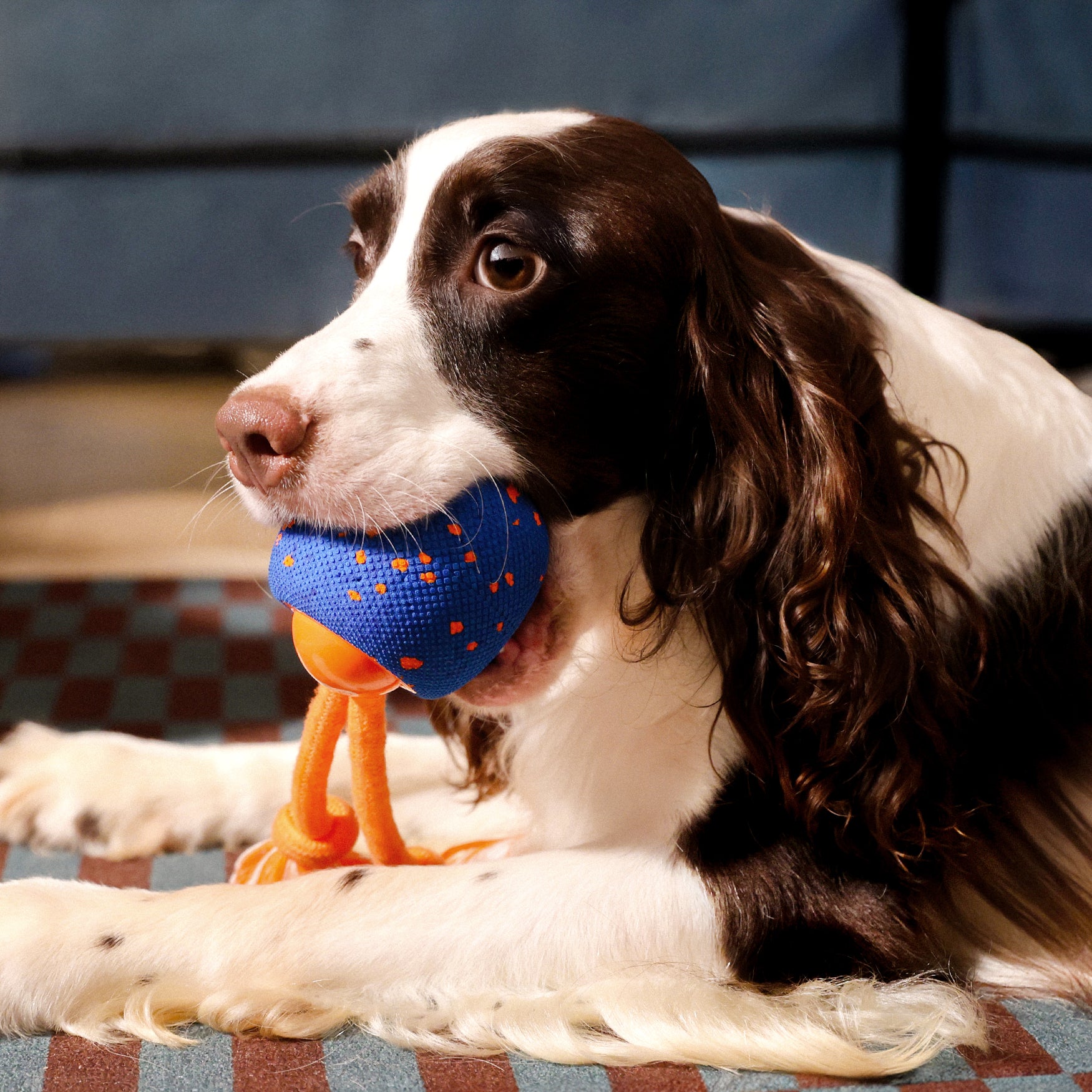 🔥LAST DAY 50% OFF 🔥 Smart Interactive Rolling Dog Toy – 3 Play Modes, Rechargeable & Self-Moving 🐶