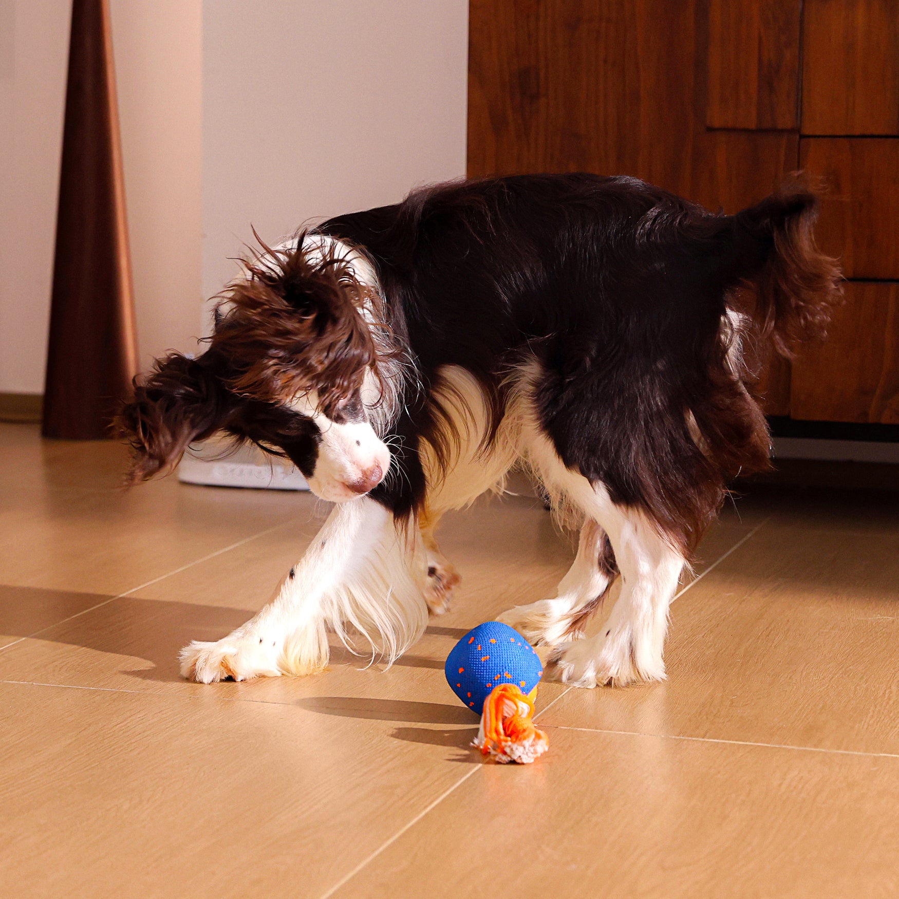 🔥LAST DAY 50% OFF 🔥 Smart Interactive Rolling Dog Toy – 3 Play Modes, Rechargeable & Self-Moving 🐶