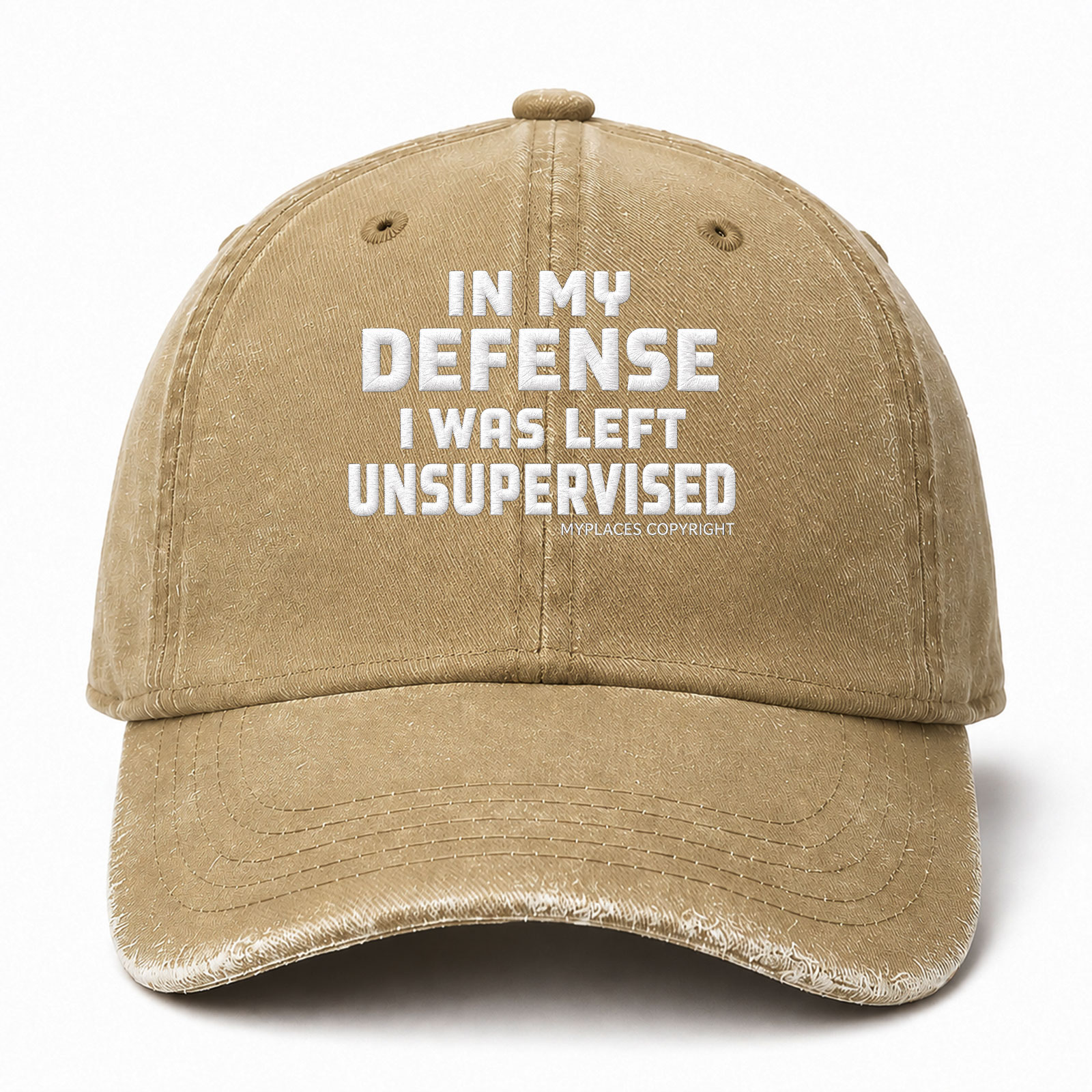 In My Defense I Was Left Unsupervised Funny Embroidered hat