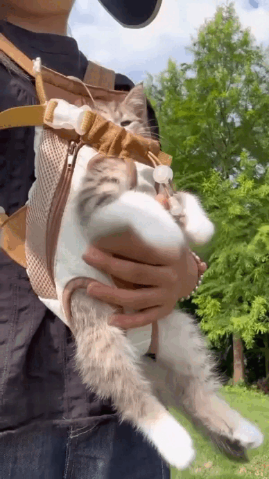 Comfortable close-contact support while carrying a cat outdoors