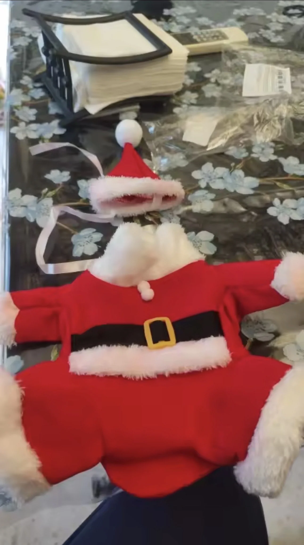 Customer photo showing the Santa dog costume before dressing