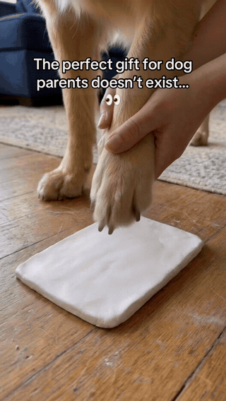 Animated demonstration of pressing a pet paw into clay, decorating the print and framing it with photos