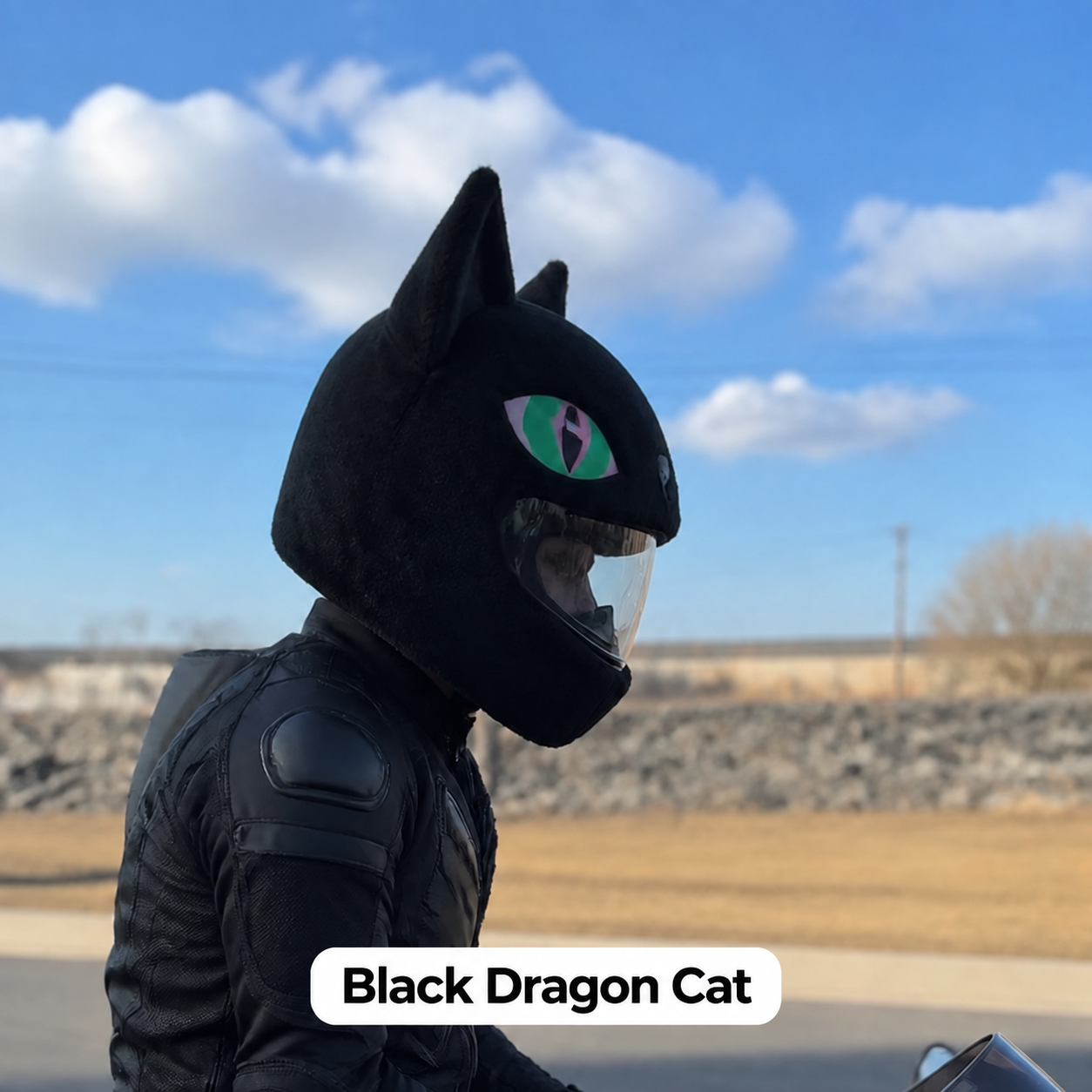Black Dragon Cat helmet cover