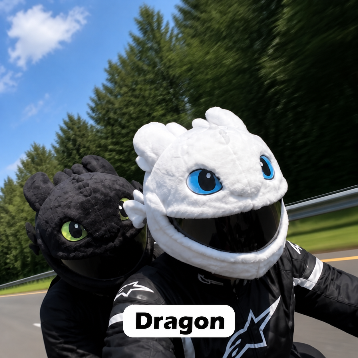 Dragon helmet cover