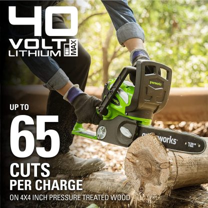 GreenWorks 20262 G-MAX 40V 12-Inch Cordless Chainsaw, 2AH Battery and a Charger Included
