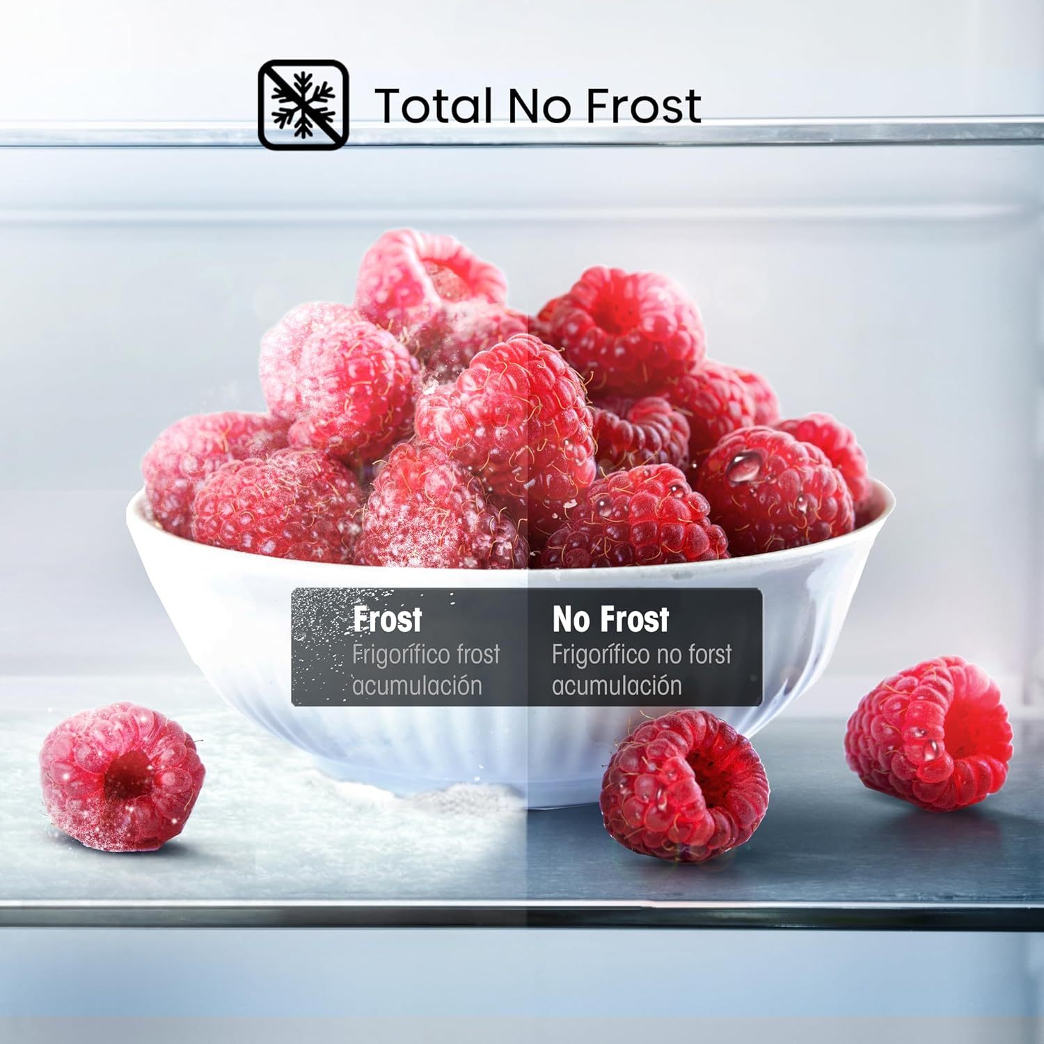 Refrigerador Top Mount Hisense 9 Pies Cúbicos Tecnología No Frost RT90N6WKX2