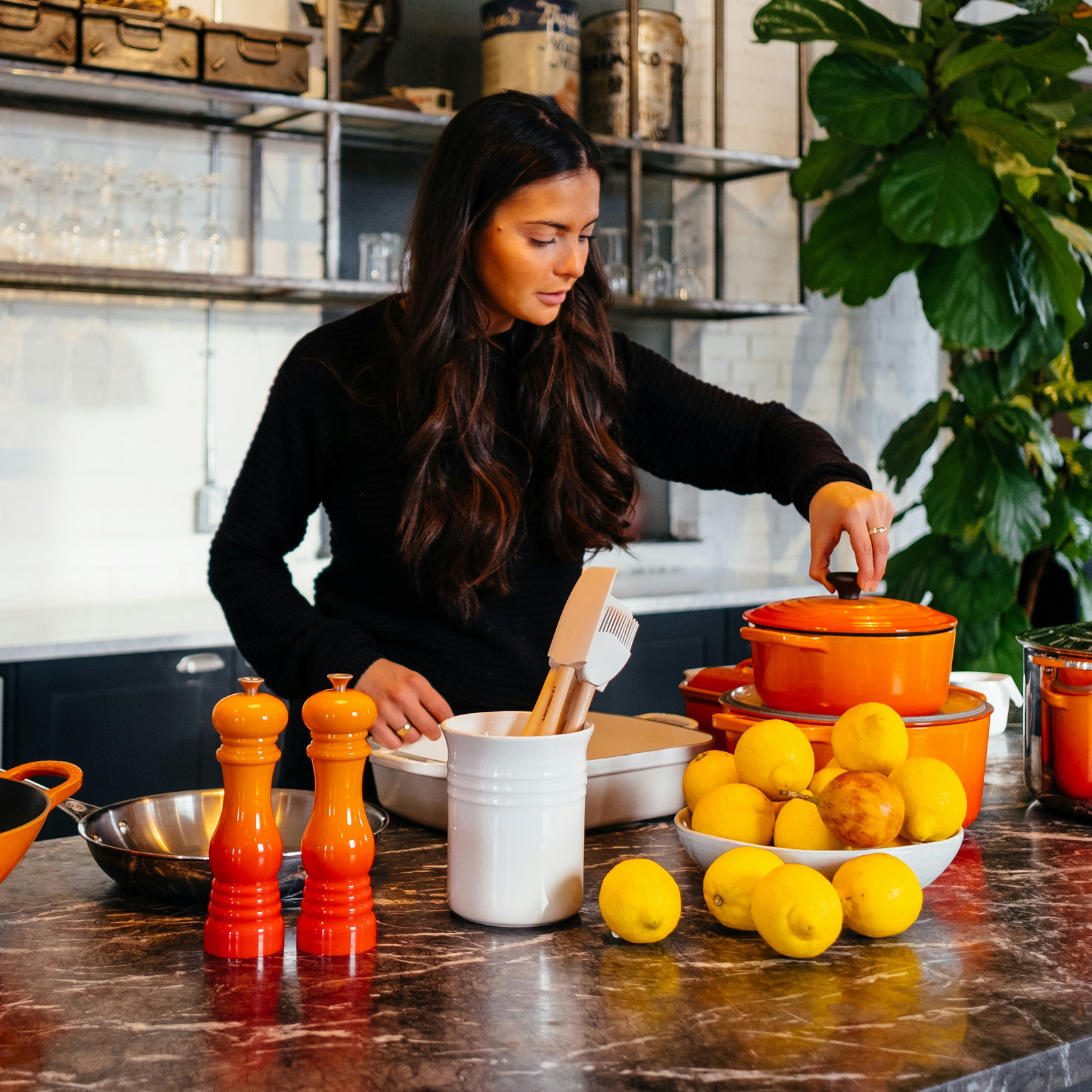 Wellness Essentials