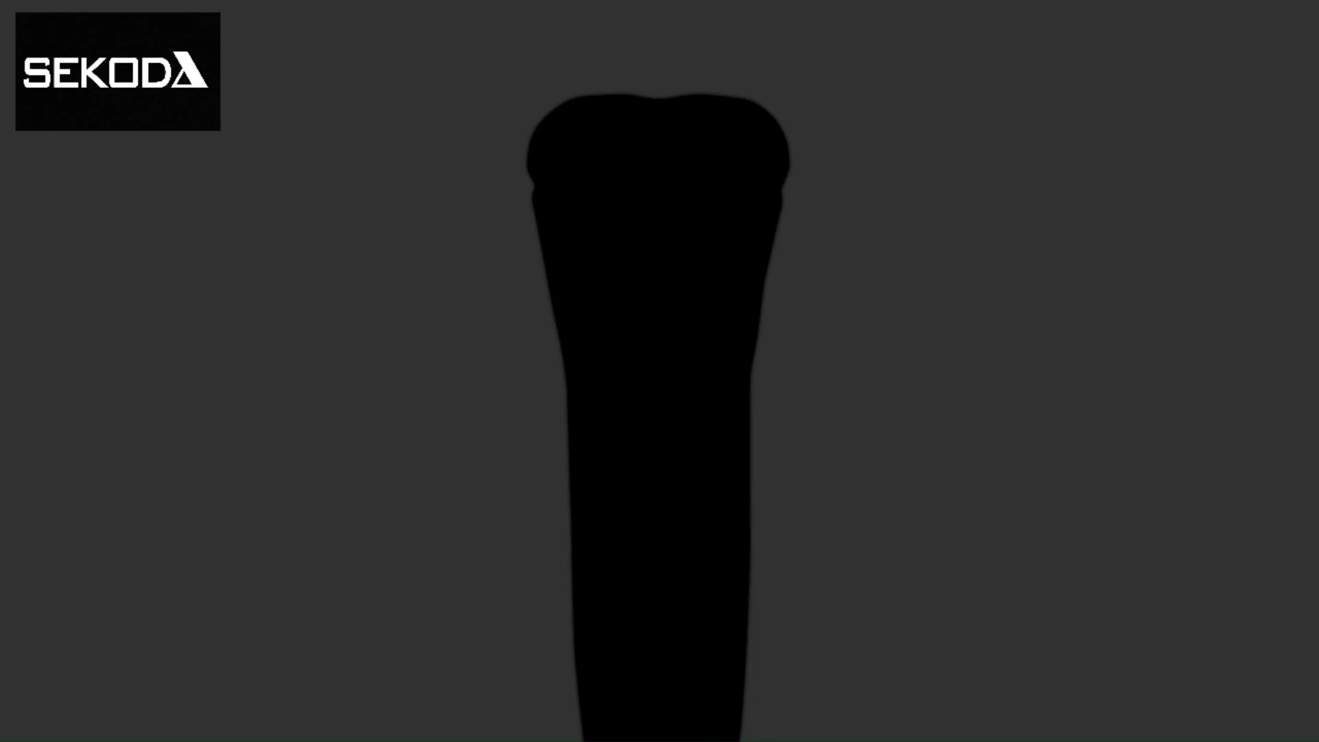 Sekoda Electric Shaver - Image 2