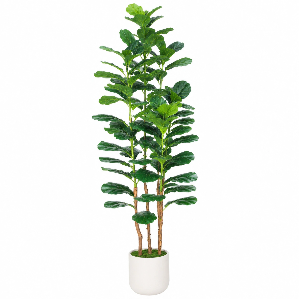Planta Artificial de Ficus Lyrata con Maceta de Cerámica 180cm Verde-HOMAV ORA