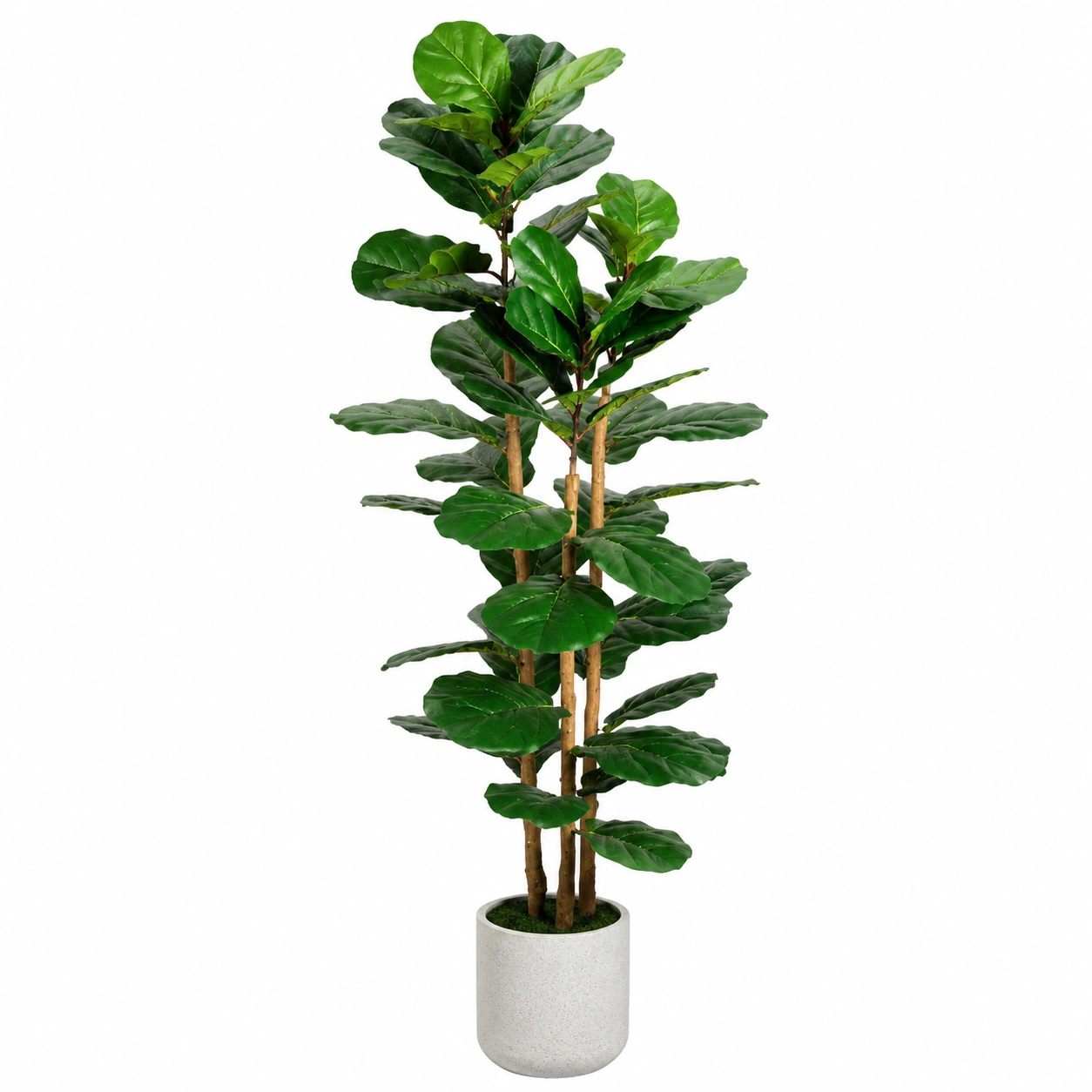 Ficus Lyrata Artificial en Maceta 150cm Verde Interior-HOMAV ORA