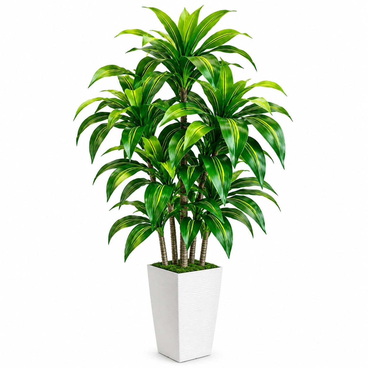 Planta Drácena Artificial en Maceta Blanca 150 cm-HOMAV ORA