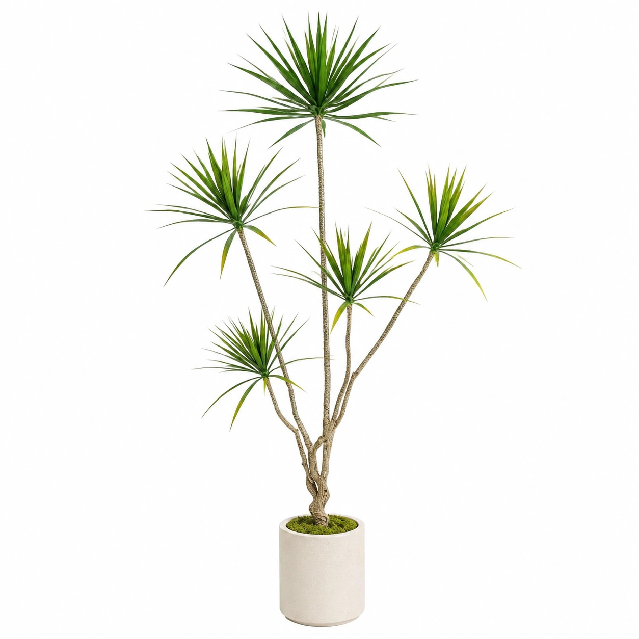 Planta artificial dracaena con maceta 170cm verde-HOMAV ORA