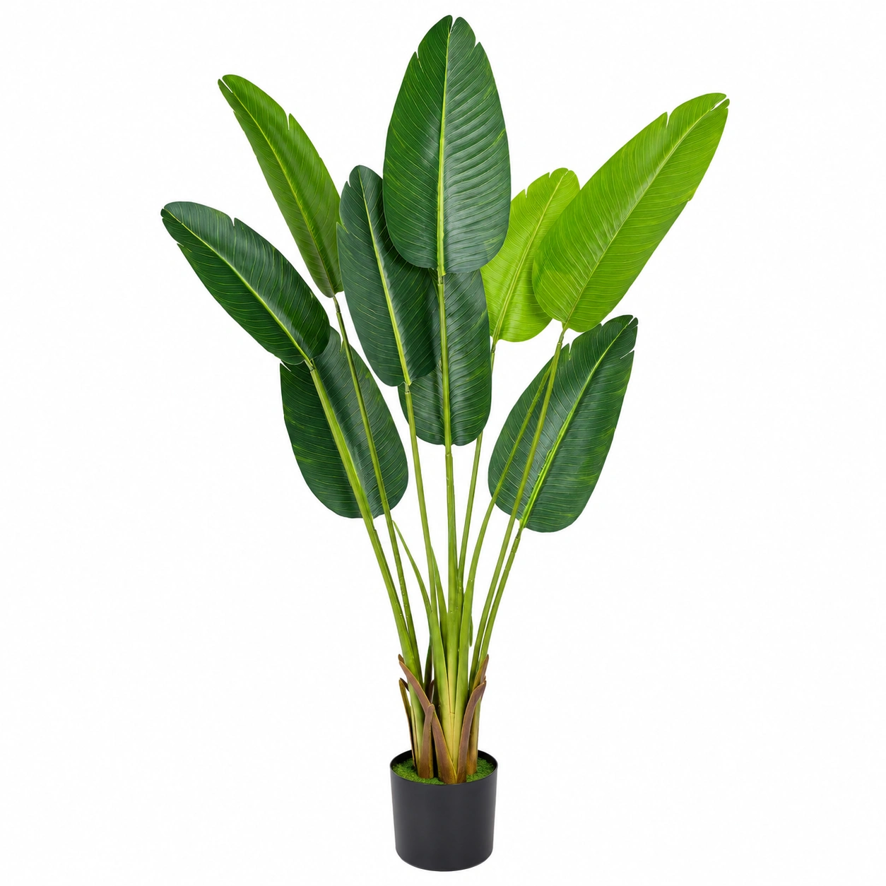Planta Artificial de Strelitzia 150cm con Maceta Negra-HOMAV ORA