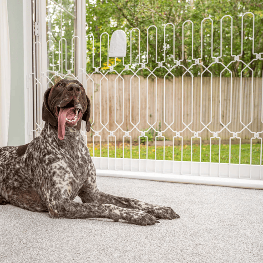 Pet Gate Plus installed in modern home interior