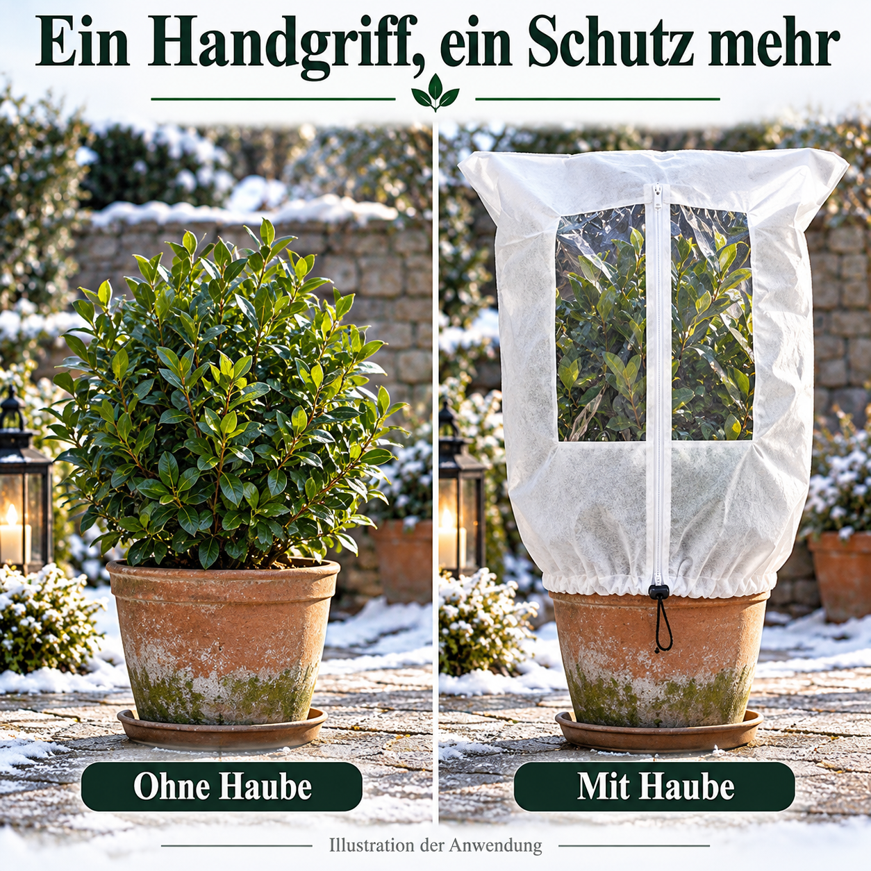 Anwendungsillustration: dieselbe gesunde Kübelpflanze ohne und mit Frostschutzhaube bei gleichen Bedingungen