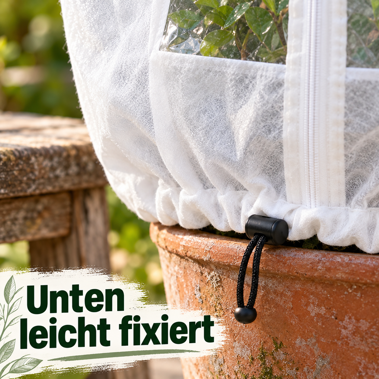 Frostschutzhaube mit Sichtfenster um eine Kübelpflanze auf einer winterlichen Terrasse