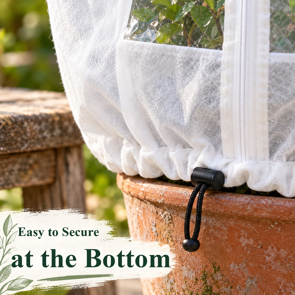 Frost cover with a viewing window around a potted plant on a winter patio