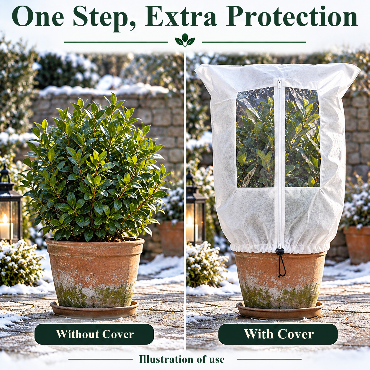 Use illustration: the same healthy potted plant with and without the frost cover under the same conditions