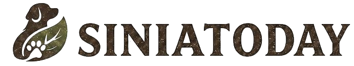 siniatoday