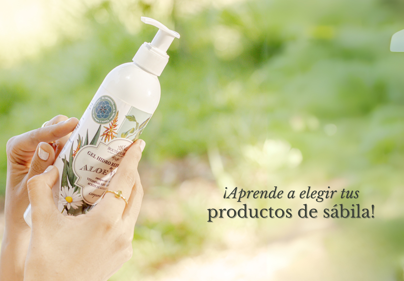 &iquest;C&Oacute;MO ELEGIR CORRECTAMENTE UN PRODUCTO DE S&Aacute;BILA?