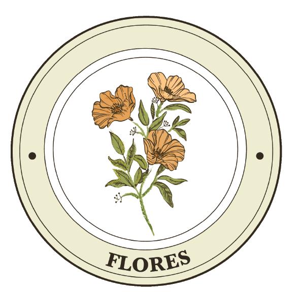 Flores