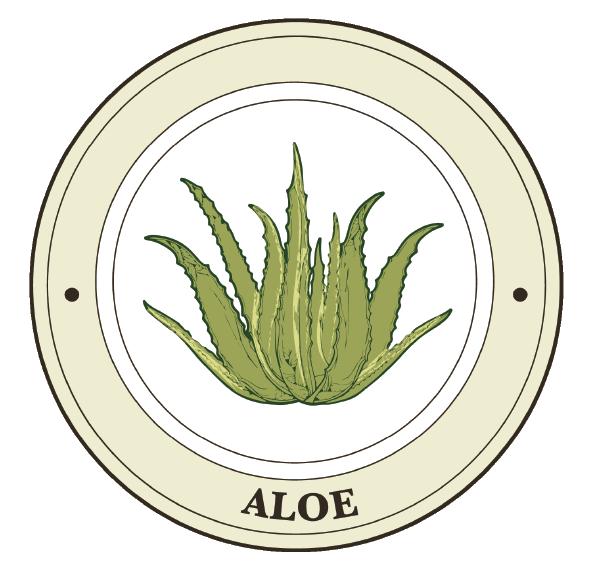 Aloe