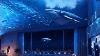 Ocean projection preview