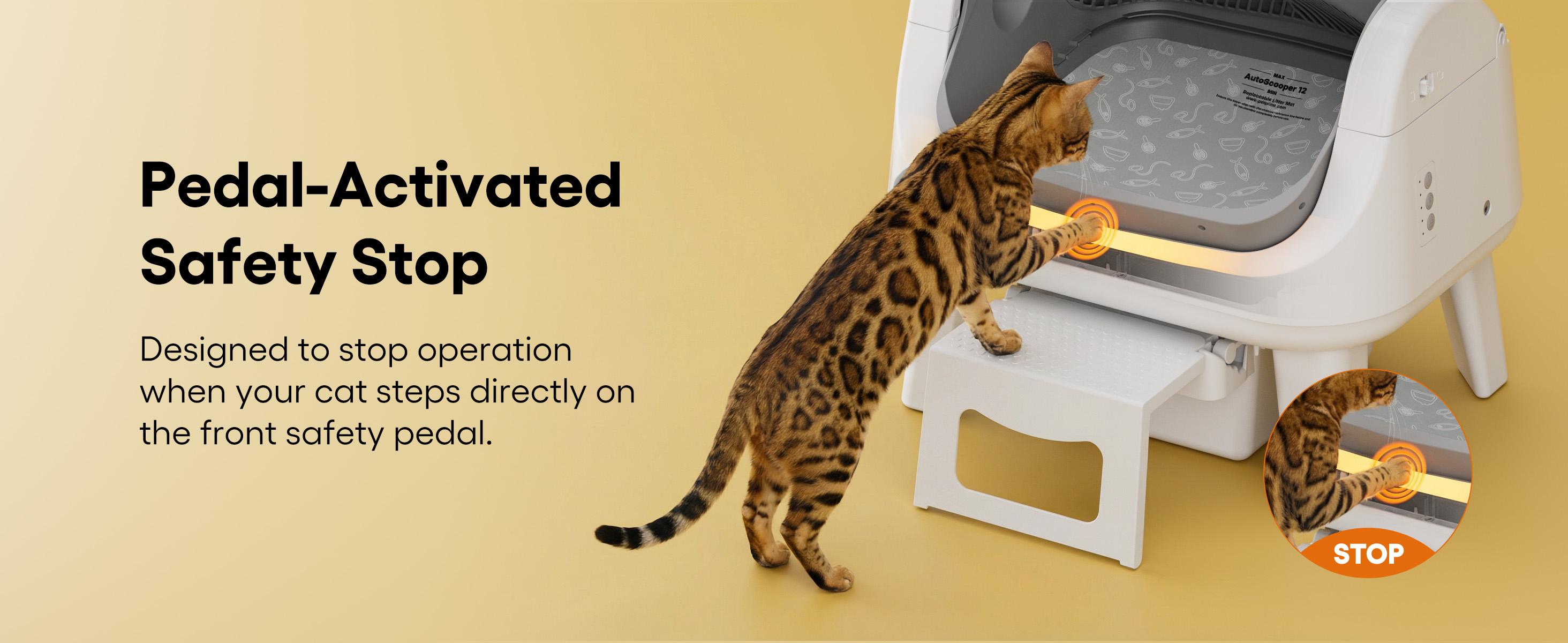 PetPivot AutoScooper 12 Lite Katzentoilette mit offenem Deckel, automatischer Selbstreinigung, bequemer Einstiegsstufe, dreifachem Sicherheitsschutz, keine App erforderlich