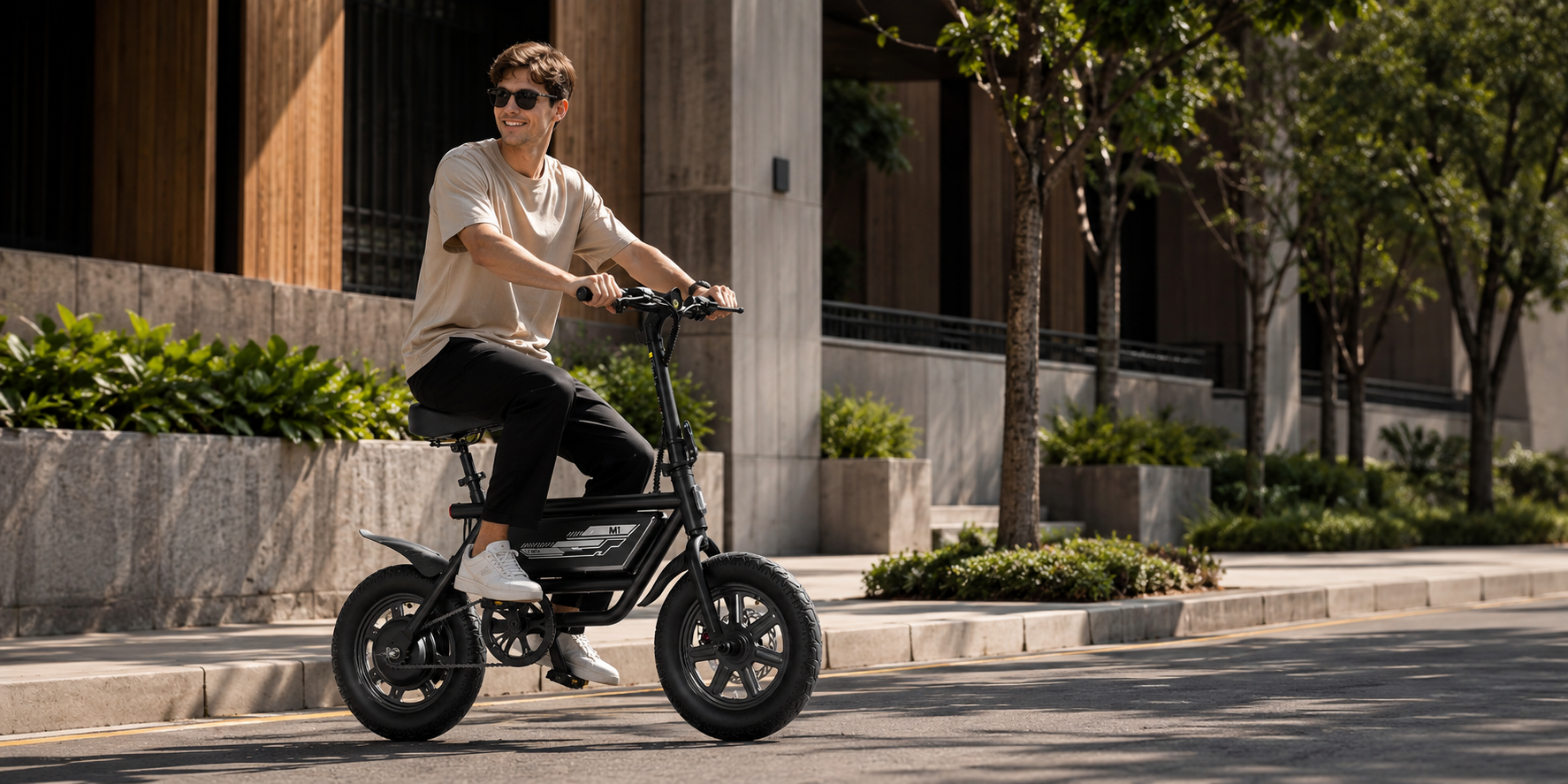 Folding Ebike