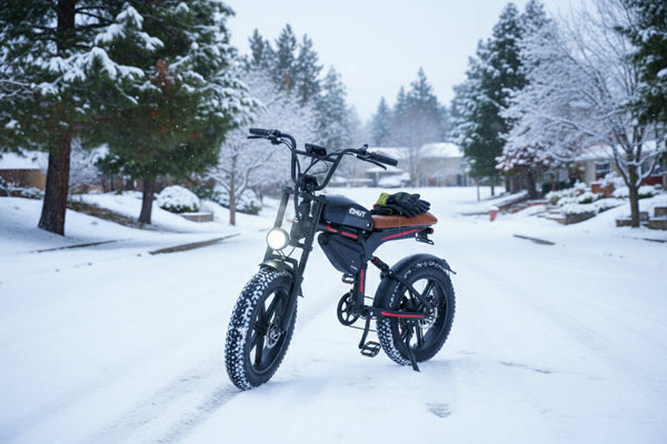 A QNUT BK20 fat tire ebike ready for a winter commute in the snow.